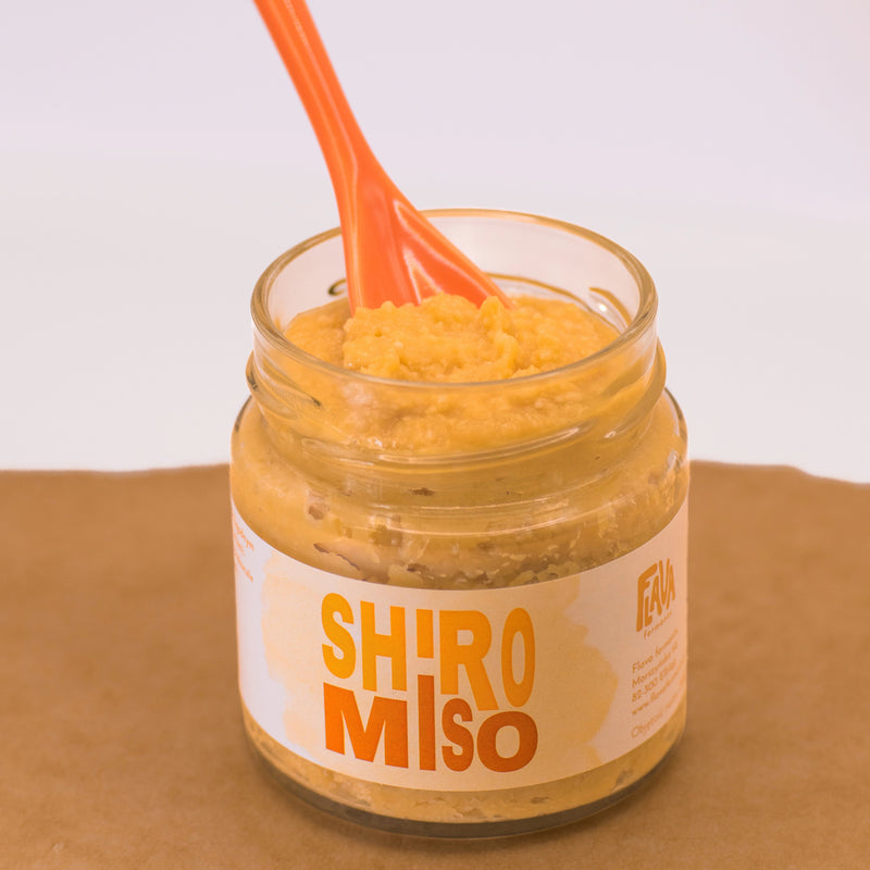 Jasna pasta miso shiro FLAVA FERMENTS